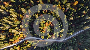 Autumn road forest mountains Switzeland aerial 4k