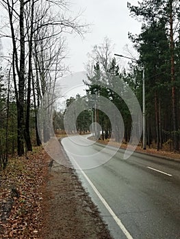 Autumn road going around the bend