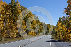 Autumn Road on the Grand Mesa