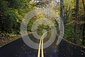 An autumn road in Great Smoky Mountains, Tennessee, USA