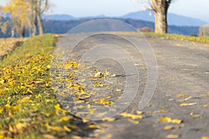 Autumn road inTatras, Slovakia