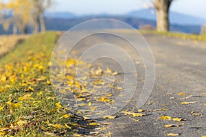 Autumn road inTatras, Slovakia