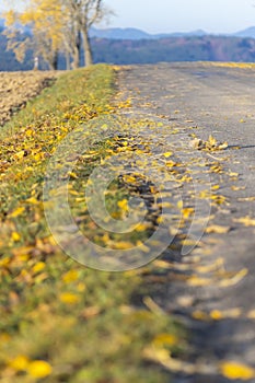 Autumn road inTatras, Slovakia