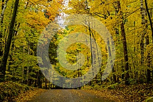 Autumn road, potawanomi state park