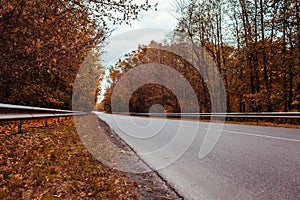 Autumn road surrounded with trees. Empty highway with chippers on cloudy fall day