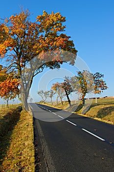 Autumn road to heaven