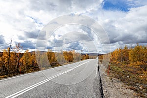 Autumn road in yellow and orange colours, blue sky with clouds and forest