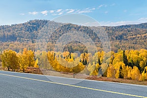 Autumn roads and boreal forest