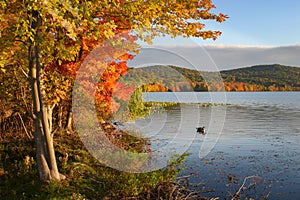 Autumn in Rockland Lake, New York