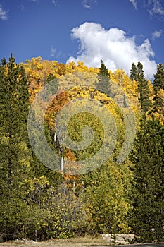 Autumn in Rocky Mountain National Park