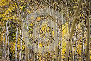 Autumn in Rocky Mountain National Park