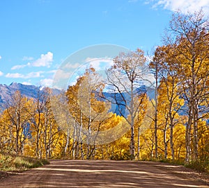 autumn in the rocky mountains of Colorado. Kebler Pass near Crested Butte, Colorado