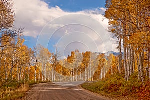 autumn in the rocky mountains of Colorado. Kebler Pass near Crested Butte, Colorado