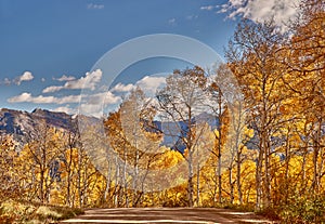 autumn in the rocky mountains of Colorado. Kebler Pass near Crested Butte, Colorado