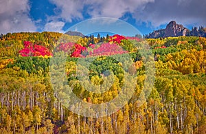 autumn in the rocky mountains of Colorado. Kebler Pass near Crested Butte, Colorado