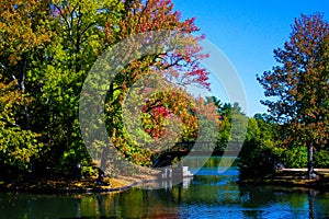 Autumn at Roger Williams Park