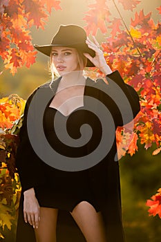 Autumn romance woman with leaves. Female model on foliage day. Dream and lifestyle. Beauty outdoor portrait. Carefree