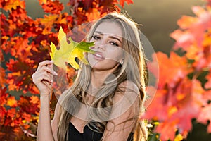 Autumn romance woman with leaves. Female model on foliage day. Dream and lifestyle. Beauty outdoor portrait. Carefree