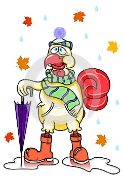 Autumn romantic funny cartoon rooster, wearing a scarf hat rubber boots and umbrella.