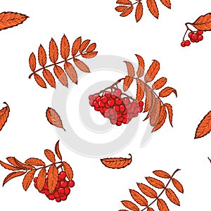 Autumn rowanberry leaves and berries seamless pattern Red
