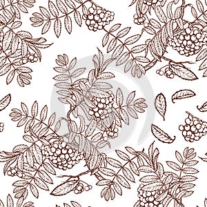 Autumn rowanberry leaves and seads seamless pattern