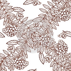 Autumn rowanberry leaves and seads seamless pattern photo