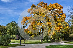 Autumn in Royal Baths Park in Warsaw city, Poland