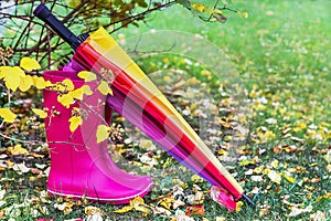 Autumn. Rubber boots and colorful umbrella are on the grass with autumnal leaves.