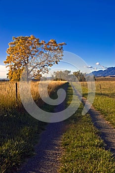 Autumn Rural Country Road in Boulder Colorado