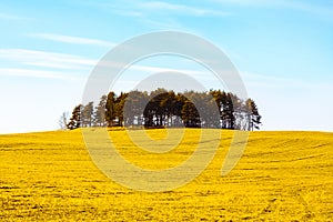 Autumn rural field and cloudy blue sky, nature background