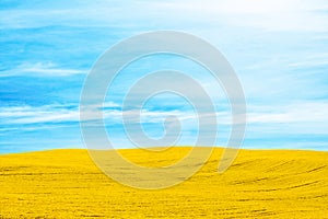 Autumn rural field and cloudy blue sky, nature background