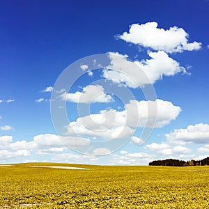 Autumn rural field and cloudy blue sky, nature background