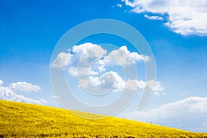 Autumn rural field and cloudy blue sky, nature background