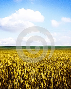 Autumn rural field and cloudy blue sky, nature background