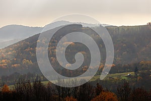 Autumn rural landscape with forest. Foggy early morning