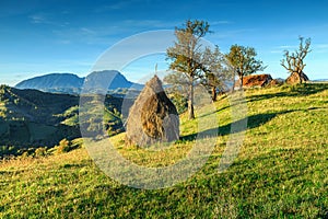 Autumn rural landscape with hay bales,Holbav,Transylvania,Romania,Europe