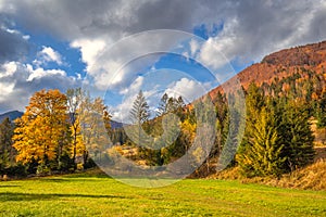 Autumn rural landscape in a mountain valley