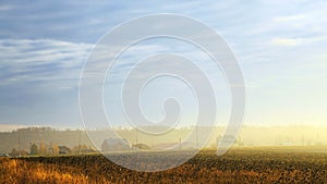 Autumn rural landscape. Village houses in the fog at dawn in a yellow golden field in the sunshine on a warm October day early in