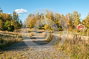 Autumn in rural Sweden