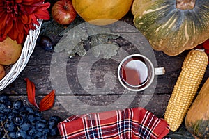 Autumn rustic still life: fruits, vegetables and cup of tea: pumpkin, pears, apple, melon, grape and corn. Thanksgiving