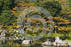 Autumn`s coming, colourful trees season changed in Ginkaku-ji temple, famous travel destination in Kyoto Japan photo