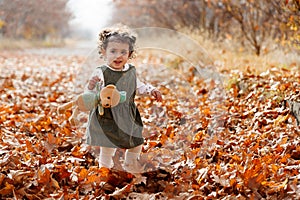 Autumn s gentle caress. Smiling adorable child wandering among golden autumn leaves photo