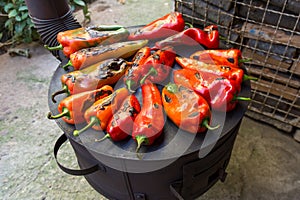Autumn\'s Palette: Roasting Peppers on a Wood-Fired Stove