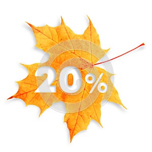 Autumn sale - 20%. Colorful maple leaf with text on white background