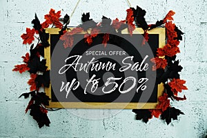 Autumn Sale 50% text message on chalkboard decoration with maple leaf