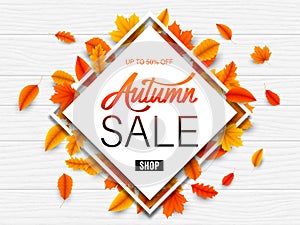 Autumn Sale Background