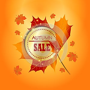 Autumn sale background