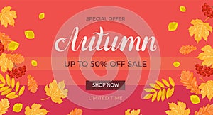 Autumn sale background or banner. Seasonal discounts.