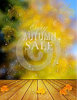 Autumn sale background with a colorful leaves
