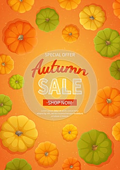 Autumn sale background. Discount, sale in autumn. Vertical banner flyer with yellow, green, orange pumpkins on orange background.